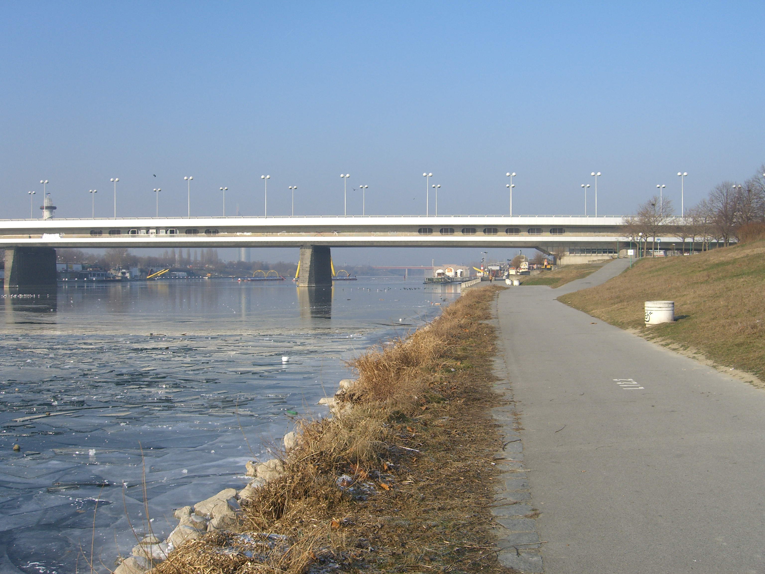 Reichsbrücke Donaublick