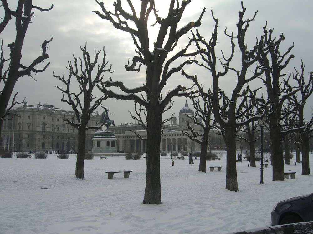 Schnee in Wien